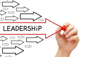 Executive leadership programme