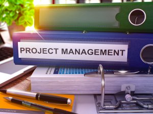Online Project Management