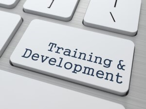 Training and Development